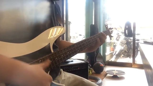 PiA吳蓓雅-我是比較幽默 (bass cover) смотреть онлайн