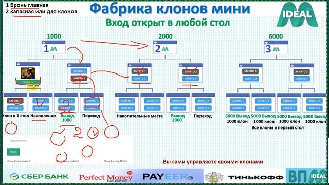 ИДЕАЛ М  ФАБРИКА КЛОНОВ МИНИ и МАКСИ В IDEAL M МАРКЕТИНГ