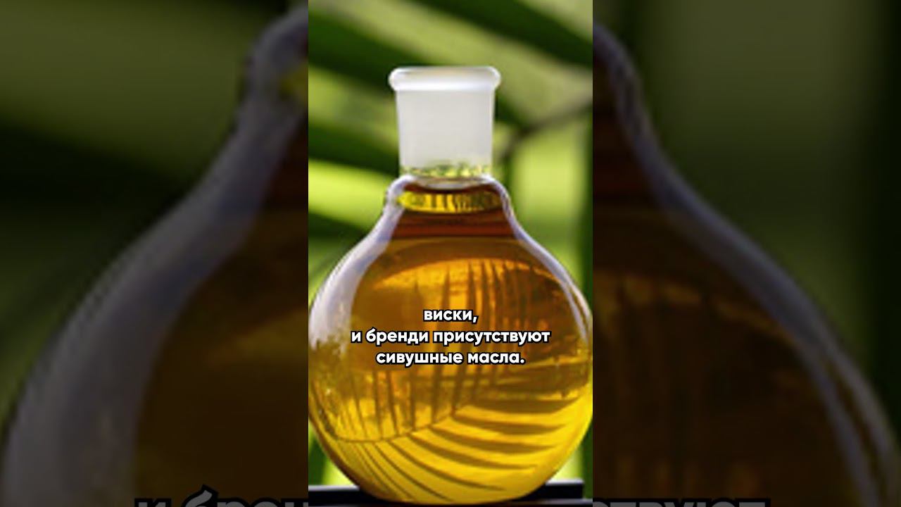 Что полезнее: водка или самогон? #колба #самогонныйаппарат #здоровье смотреть онлайн