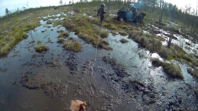 В болоте. Ренегад 800, Гепарды, Гризли, и другие. смотреть онлайн