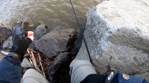 Река Амур рыбалка. Рыбалка на Амуре. Верхогляды Обожают воблеры.