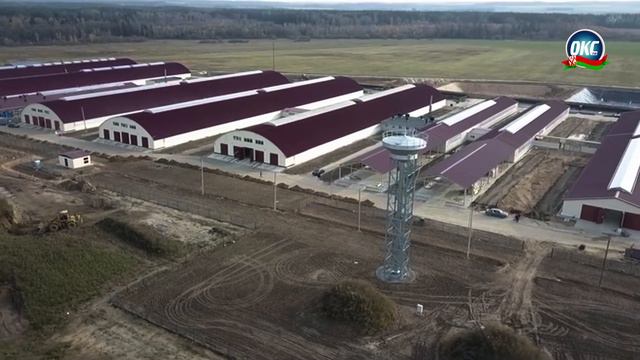 МТК «Виктория» – большая победа сельхозпредприятия «АгроСолы»