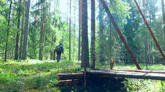 Топор в поход,стоит ли его брать,чем заменить. смотреть онлайн