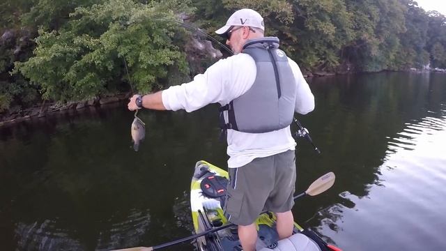 Kayak Fishing 2016 Highlights in my FeelFree Lure 11.5 смотреть онлайн