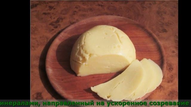 Домашняя Сыроварня Купить В Украине смотреть онлайн