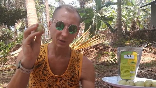 АМАЛАКИ! АМАЛА! АМЛА! ИНДИЙСКИЙ КРЫЖОВНИК.ПОЛЬЗА, СВОЙСТВА, ПРИМЕНЕНИЕ! МАСЛО АМЛЫ! АЮРВЕДА!
