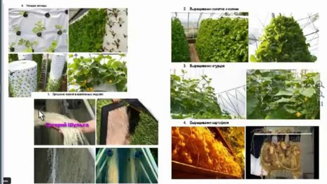 Эко поселение смотреть онлайн