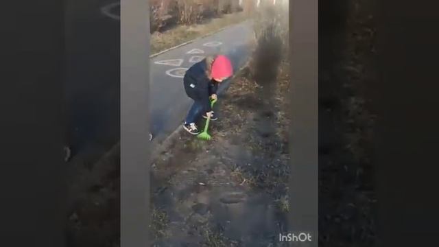 Всероссийский «День Эколят» в БДОУ г. Омска «Детский сад № 361» смотреть онлайн