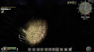 Will to live online, СОКРОВИЩА ПОБЕРЕЖЬЯ, КАК ЗАРАБОТАТЬ 500000 на рыбалке не напрягаясь