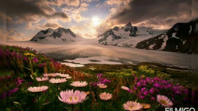 Коран.Исцеление от всех проблем!Сура" Al-bakara "#куран #коран #ислам смотреть онлайн