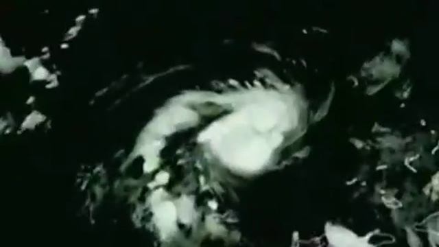 Президент и спинер смотреть онлайн