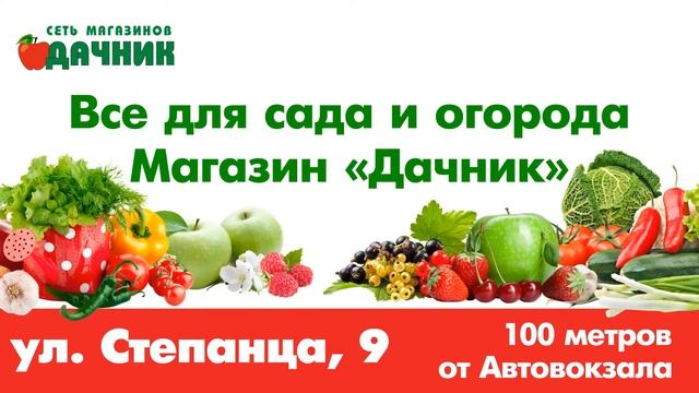 Видеопостер для магазина "Дачник" смотреть онлайн