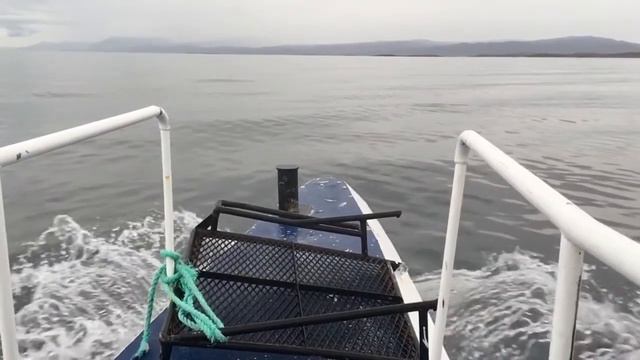 Ехал в аэропорт на такси из Мытищ смотреть онлайн