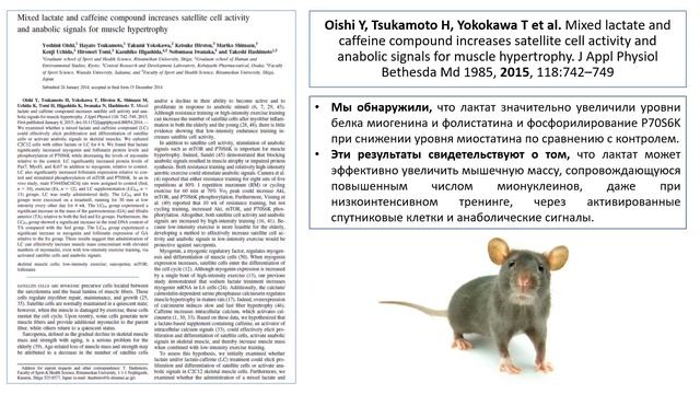 РАСТИТ ЛИ МЫШЦЫ ЛАКТАТ? смотреть онлайн