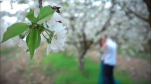 Любимые песни. Три года ты мне снилась