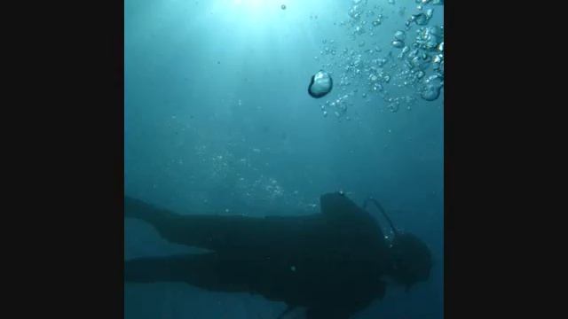 Photo logvideo 3 - Cibele Sanches смотреть онлайн