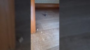 санаторий #Русь# Анапа. Пушкина 1 улетный сервис