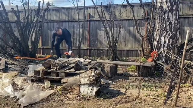 Удаление кустов, деревьев и пней цепной талью ручной лебедкой смотреть онлайн