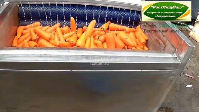 Машина очистки моркови РПМ-МЧ-1000 от РостПищМаш смотреть онлайн