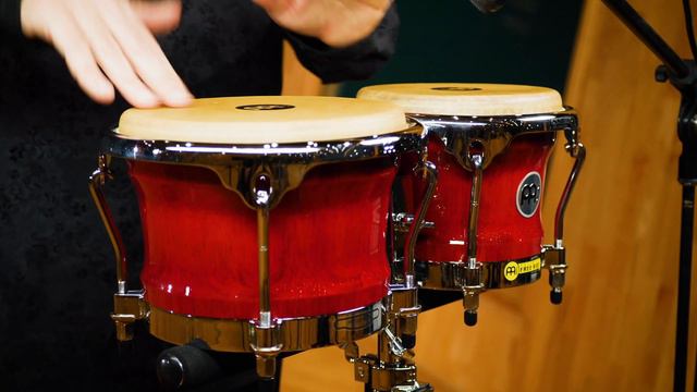 Professional Series Wood Bongos - Cherry Red - FWB400CR смотреть онлайн
