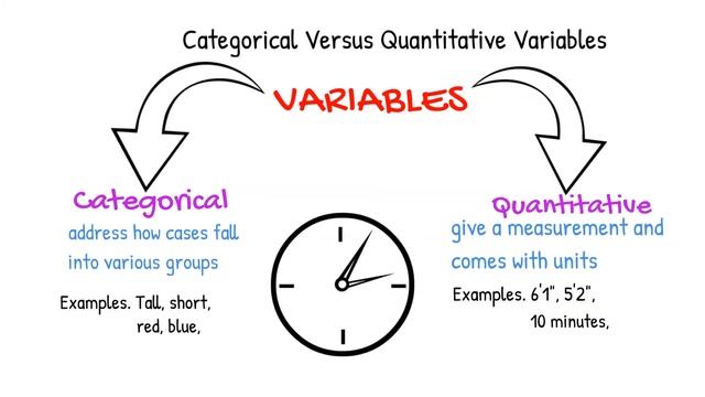 Categorical Versus Quantitative Variables