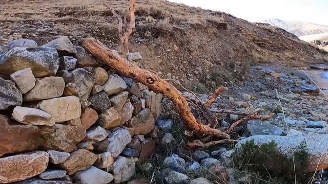 Yürüyüşün Son Gününde Yolu Kaybettim! (Cordillera Huayhuash) #167 смотреть онлайн