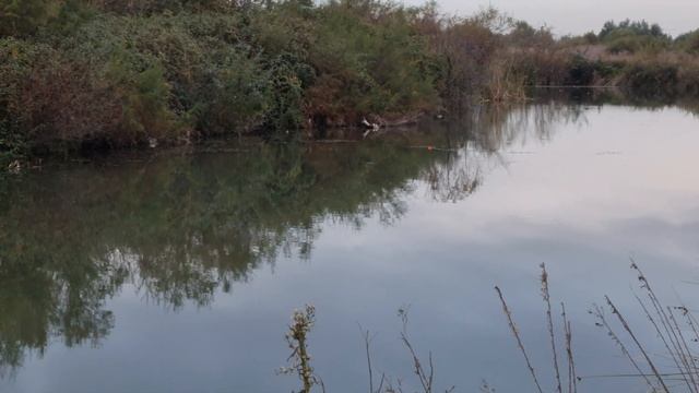 отдых на речке рыбалка / рыба карась/12 ноября 2023 г. смотреть онлайн