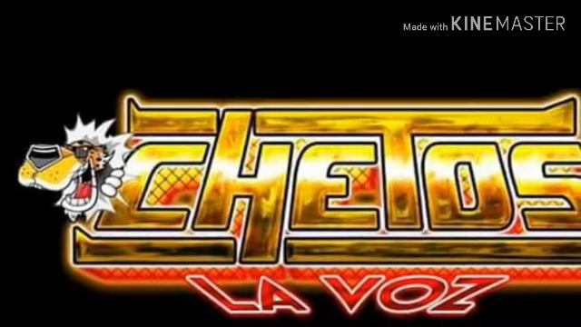 Sonido cartagena mix la cumbia de la pendejita chetos la voz смотреть онлайн