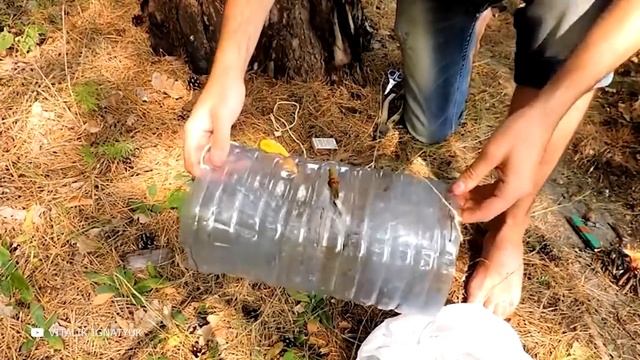 Самые Креативные Ловушки Для Животных - Как Делаются Ловушки смотреть онлайн