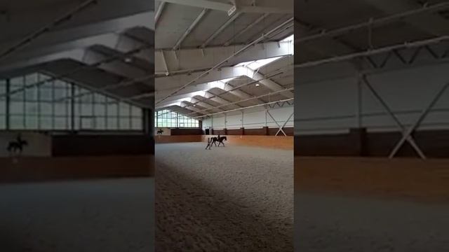 Как я учусь кататься на лошади . Бег рысью.видео 3 смотреть онлайн