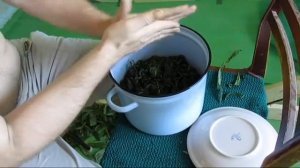 Иван-чай способ приготовления русского чая из кипрея. Купить иван-чай.