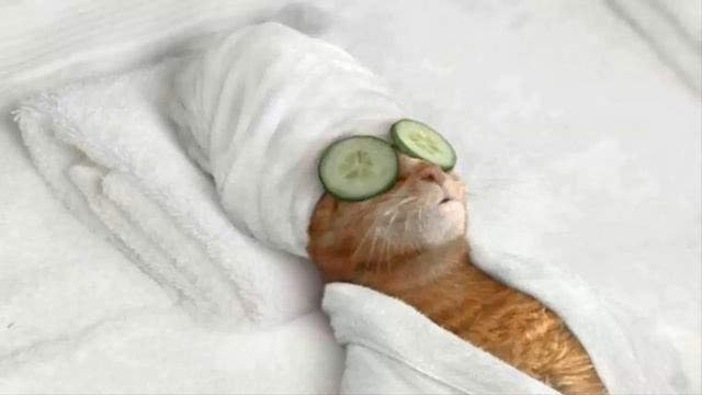 RELAX Music Спокойная расслабляющая музыка Большая подборка №1 смотреть онлайн