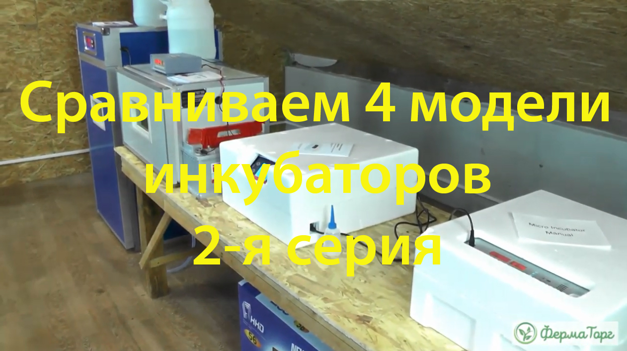 Сравниваем 4 модели инкубаторов. 2-я серия.mp4 смотреть онлайн