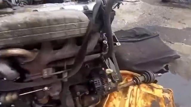 Минималистичное искусство жизни