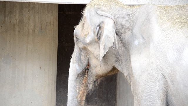 Секреты Продуктивного Творчества