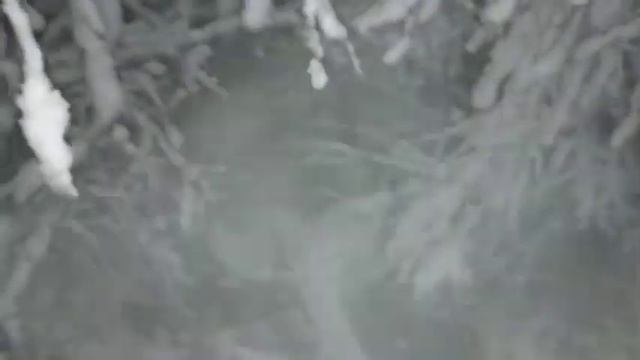 17 ноября 2023 г. смотреть онлайн