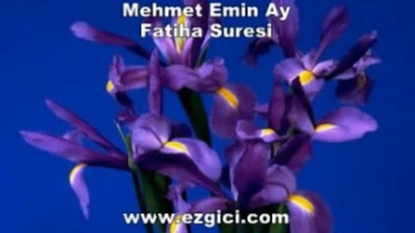 Mehmet Emin Ay Fatiha Suresi / Best Quran repitation /