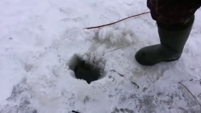 На рыбалке всякое бывает.Ловля налима смотреть онлайн