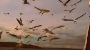 Разошлись, как в море корабли (сл. Е. Зубакиной, муз. Ю. Старцева, клип канала NikVen)