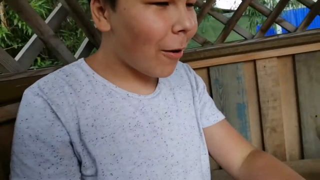 Обзор энергетика торнадо скилл