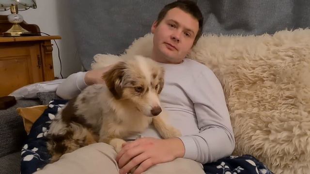 Новая собака в питомнике собак! Проехали более 1500 км чтобы забрать взрослую собаку! смотреть онлайн