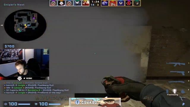 NiKo Twitch Moments смотреть онлайн