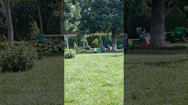 Как вы считаете, это нормально смотреть онлайн