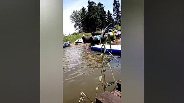 Застава. Купание. Лето. 2020г. смотреть онлайн