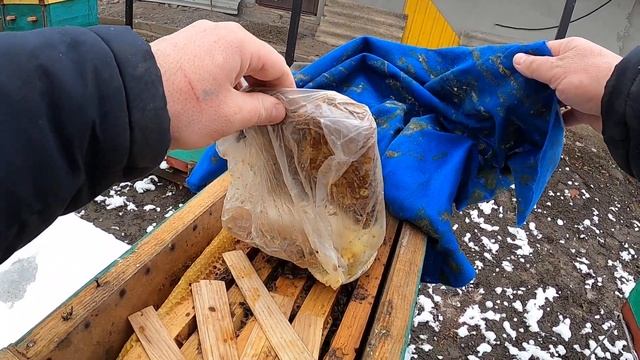 Выставка роя с зимовника / Пчеловодство для начинающих смотреть онлайн