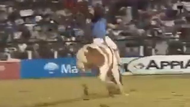 Этот человек очень устойчивый на коне😱 смотреть онлайн