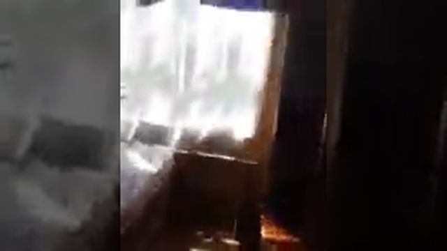 нашла у кота воробушка??? смотреть онлайн