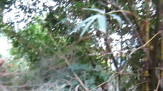 Вьетнам экскурсии Нячанг 2019.Что посетить?Отдых во Вьетнаме. Пагода Лонг Шон Long Son Pagoda.Будда смотреть онлайн