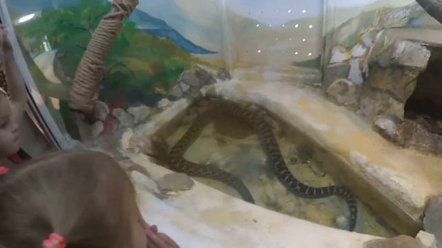 Бросили садик и погнали отдыхать! смотреть онлайн