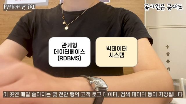 데이터 다루는 사람은 SQL을 언제, 어떻게 쓸까? | 데이터 직군의 SQL 활용 가이드 смотреть онлайн